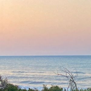 Meet your Posher, Shelly